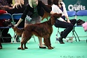 Crufts2011 254